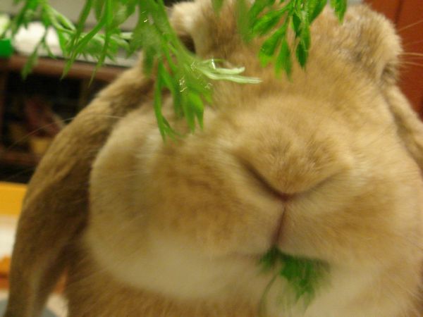 画像 028.jpg