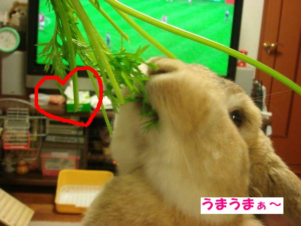 画像 059.jpg