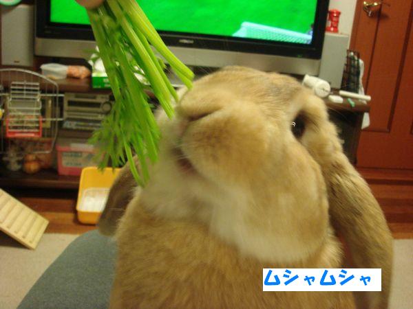 画像 084.jpg