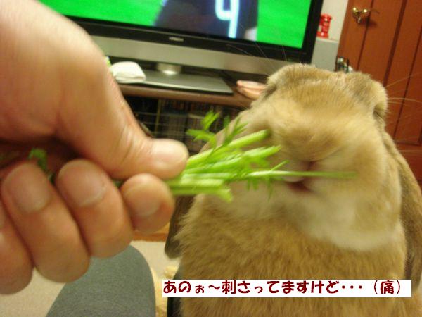 画像 113.jpg