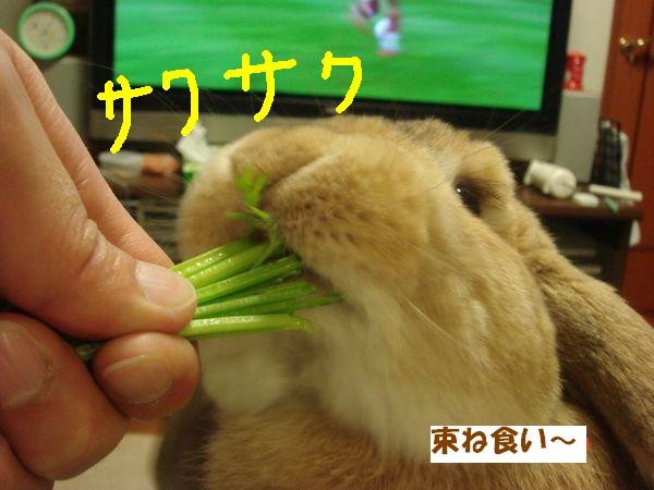 画像 117.jpg