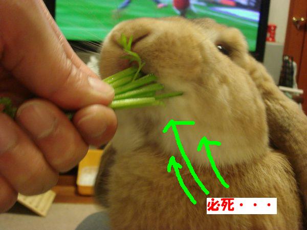 画像 118.jpg
