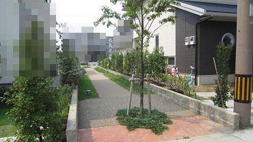 遊歩道1
