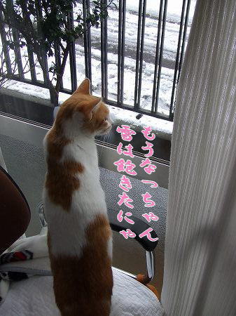 雪2