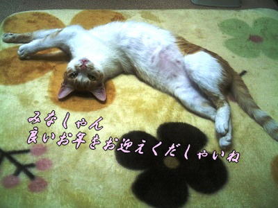年末のご挨拶