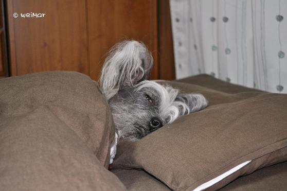DSC_0032.JPG