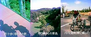 １