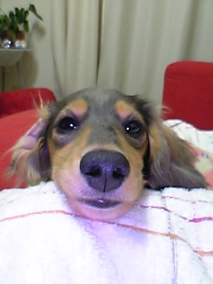 ｱﾝｽﾞ