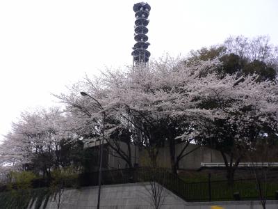 P1020319.JPG