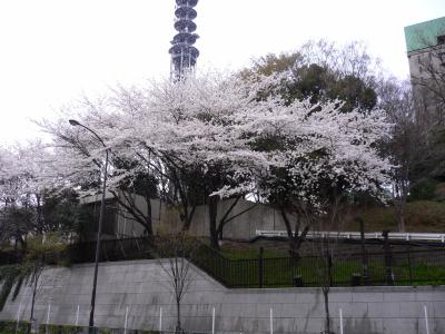 P1020318.JPG