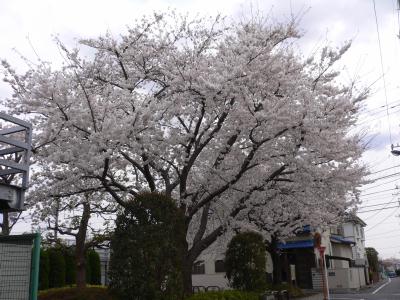 P1020315.JPG