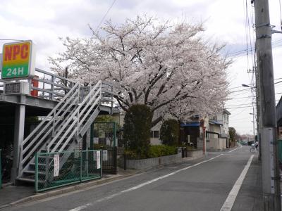 P1020314.JPG