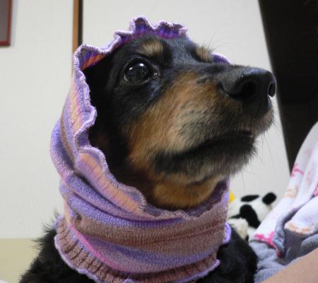 ﾛﾝ