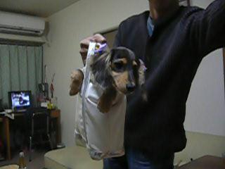 ｱﾝｽﾞ
