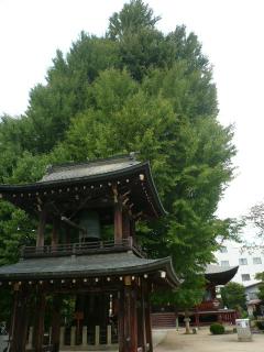 国分寺