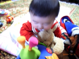 ｱｲｳﾞｨｰ、トイで遊ぶ