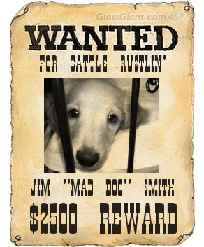 Wanted-nana