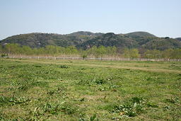 背割堤河川敷