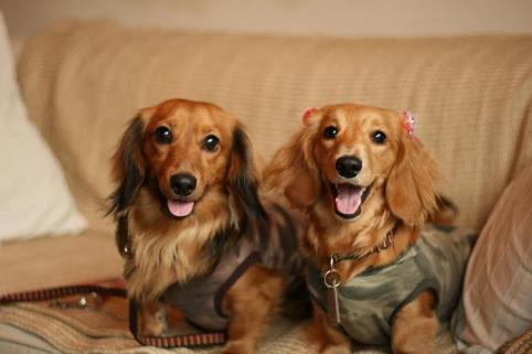 もちちゃんＢＤ優・奈々1