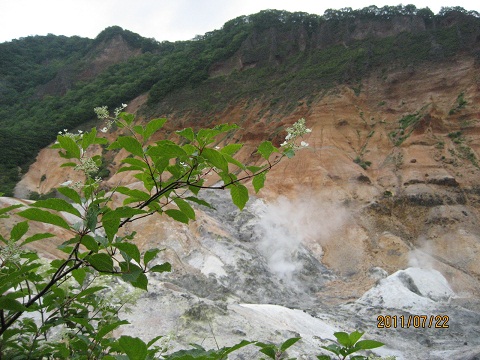 登別　地獄谷.jpg