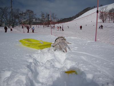 ニセコでおとまりの巻。