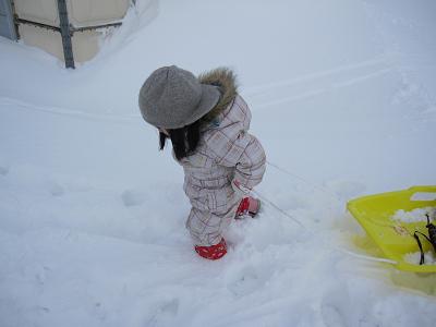 吹雪のあとに。