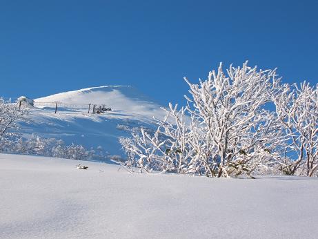 １２月４日　東山