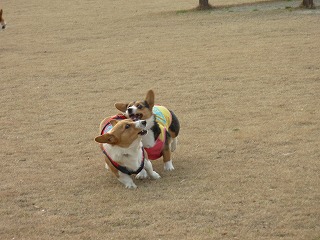 小春＆おわりちゃん
