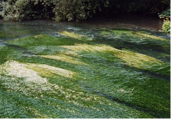 イギリスの田舎の風景