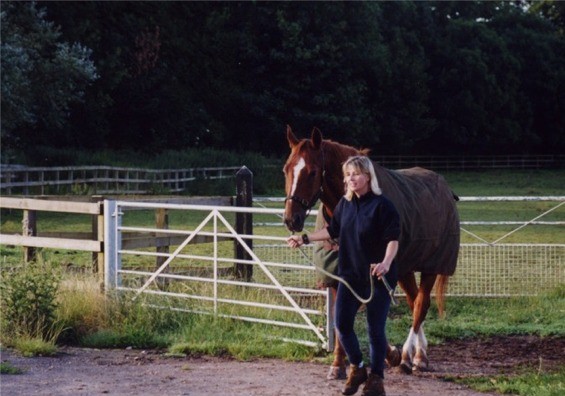 イギリスで泊まったホテルの馬牧場