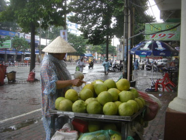 ホーチミンのマンゴー売り