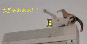 うぎゃぁ～～～！！！　出たぁ～ピカゴロ・・・もうヤメテェなぁ　かなわんてぇ・・・へそ取られたらどないしよ　(￣◇￣°*)