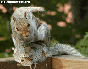 この未熟者め!未熟者め!人生を舐めたらアカンて・・・!目を覚ますんや!