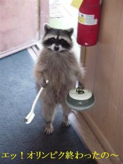 カーリングって、見てると簡単な気がするけど、なかなか難しいもんなね。でも・・・何かレレレのおじさんを思い出すんやけど・・・( *´艸`)フフフ