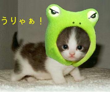 どうだぁ~参ったかぁ~・・・・ふん!口ほどにも無い奴だなぁ~!!