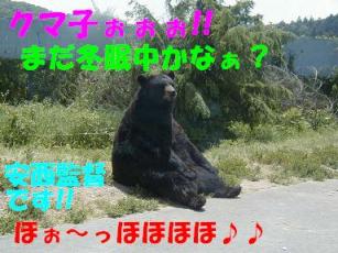 安西クマオです・・・バスケの元全日本選手です。今は桜木君から「オヤジ！」と呼ばれ親しまれております。ぶはぁぁぁ・・・暇だなぁ～冬眠する前にココでクマ子と待ち合わせしたんやけど、来ねぇしぃ～彼女まだ冬眠しちょるのかも・・・(´＿｀｡)ｸﾞｽﾝ