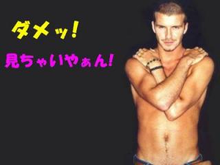 ボクちゃん、今回もぎゃんばるから、日本のベッキャムファンの皆ちゃま、応援ヨロチクね~!ダーィヽ(*´∀`*)ノ スキッ★