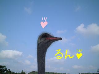 んん!?・・・・何か臭うぞ!獲物のニオイがする。それもかなり旨そうなニオイだ。