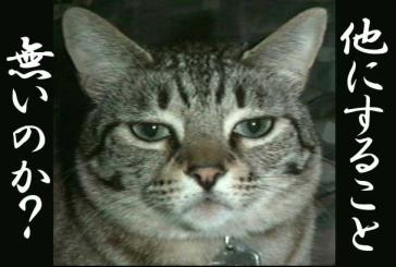 ワテ 忙しいはずなのに・・・日記を更新しちゃってる・・・あはは