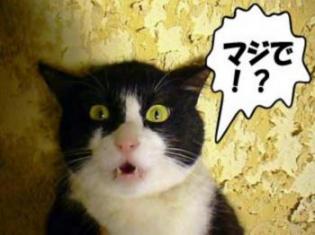 マジで?・・・大丈夫だって言ってたやんけ~!わぁ~どないしよ!チョッと考えさせてくれへん?