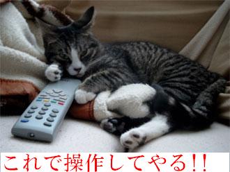 ふふふふ・・・やっとリモコンを手にいれてもた・・・コレで世界はワイのモンや・・・