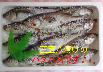 コレはハタハタの三五八漬けだぁ~。癖になる味。保存食にもえぇよぉ~。