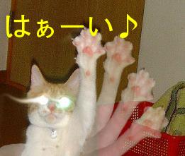 はい!はい!はい!ははははぁ~い!!