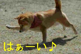 うぃ~っす!! つっつらいポーズだな・・・ ( ̄□ ̄;)