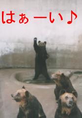 おぉ~い!!こっちコッチ!! 出前のカツ丼を頼んだのワイやぁ~♪なんや遅かったなぁ・・・