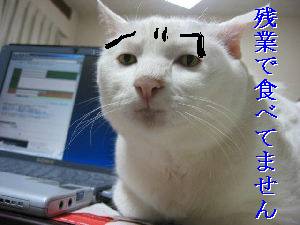 アホやねぇ・・・ハラがグゥ～♪ってなったら　思わず携帯のバイブかと思うてしもた　（￣ω￣；）