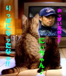 =「向こう３０年は日本に勝てないってくらいに・・ｂｙ　イチロー」　　ホレ！見てみぃ　兄ちゃんも上手く人間に化けよって活躍しちょる。お前も頑張って化け学を学ぶんだぞ・・・スゲーなぁ～兄ちゃん　ドコから見ても人間だ！（＠Д＠；）　