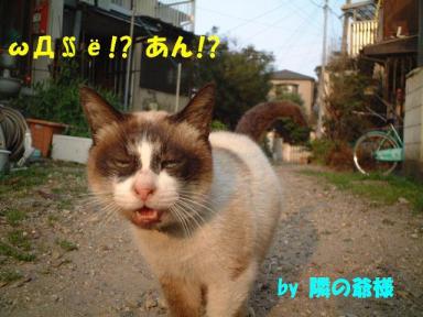 オラ！酔ってへんどぉ～！オラはいつも明るいニートやさかい、町をぱとろ～るせなアカン！よつしゃ今日もばんばるでぇ～ウイッ！