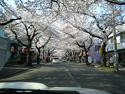 桜川