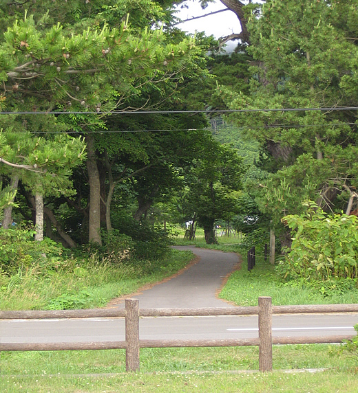 キャンプ場から海へ通じる細道。